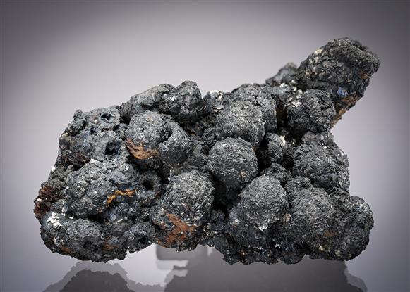 CC20809 specimen image