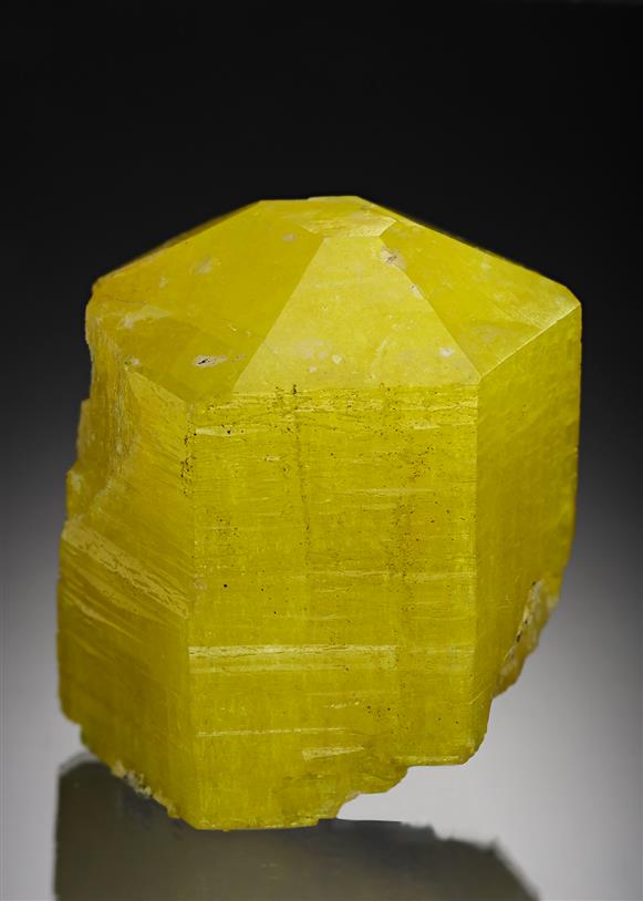 CC20814 specimen image