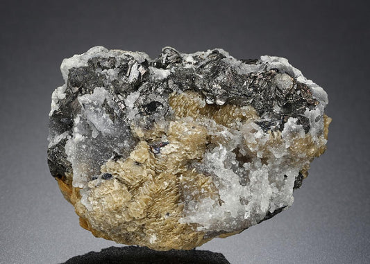 CC20822 specimen image