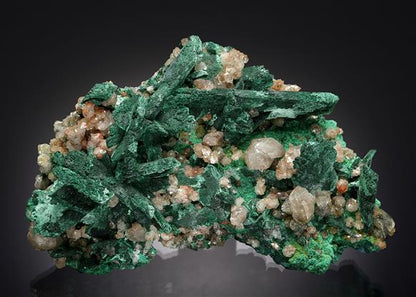 CC20823 specimen image