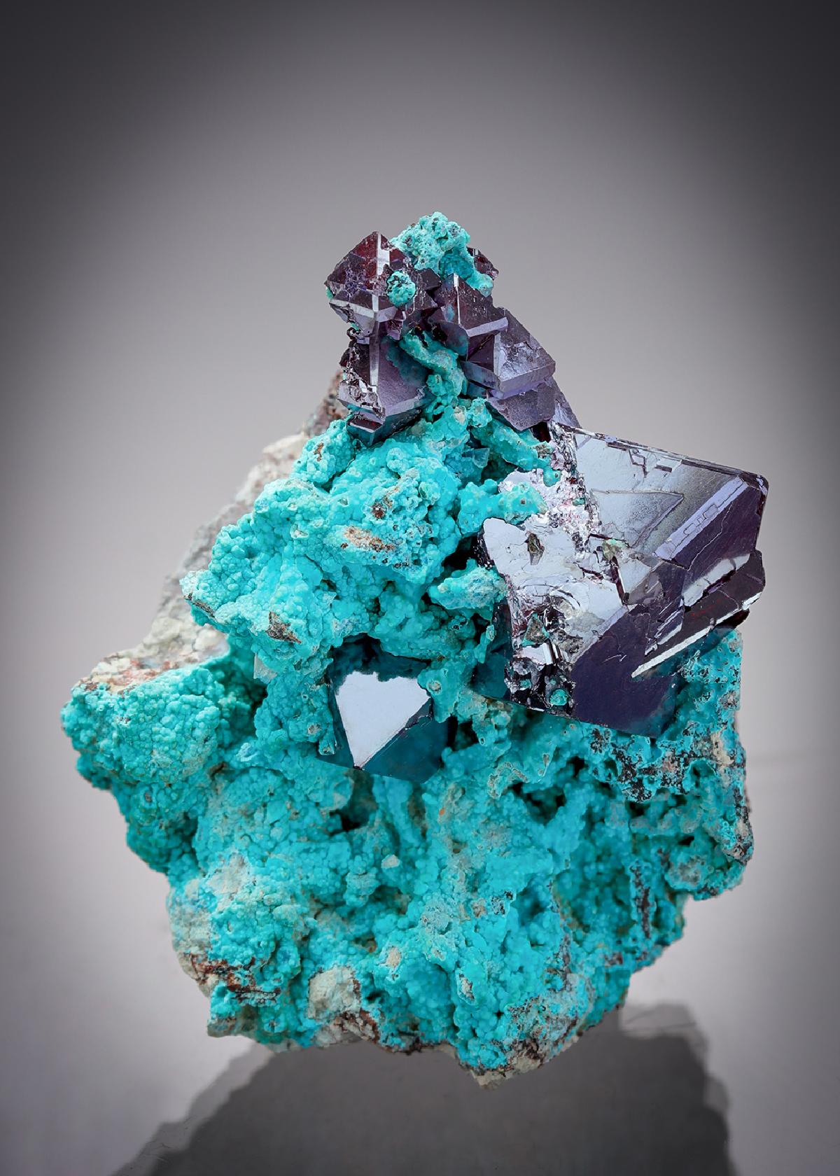 CC20826 specimen image
