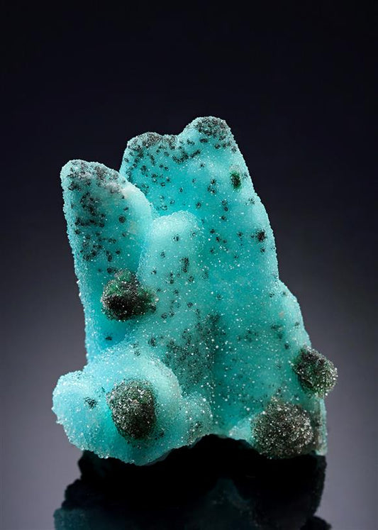 CC20840 specimen image
