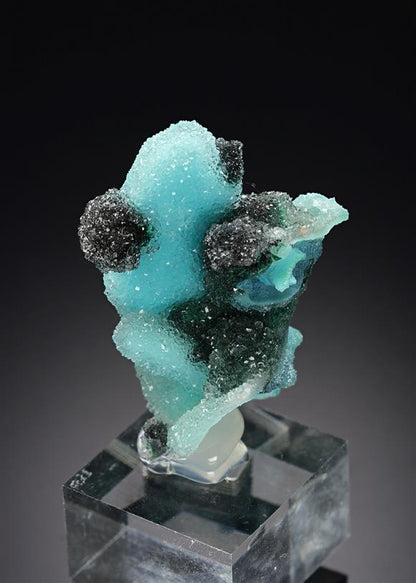 CC20872 specimen image