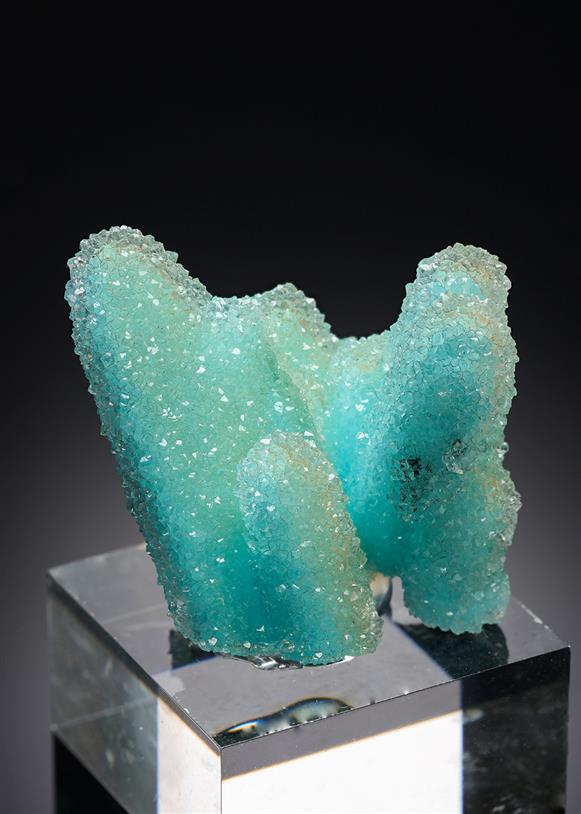 CC20873 specimen image