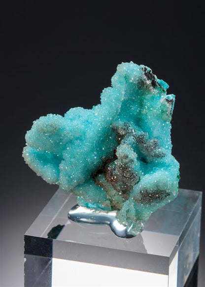 CC20883 specimen image