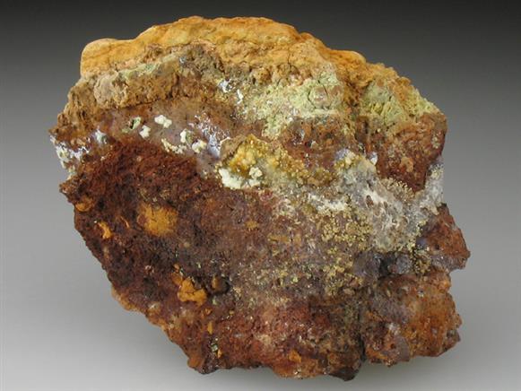 CC2097 specimen image