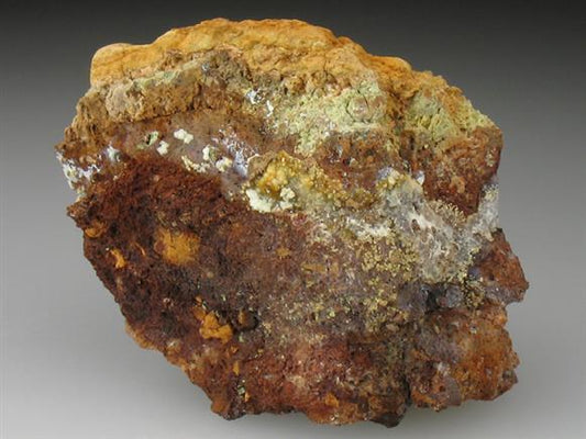CC2097 specimen image