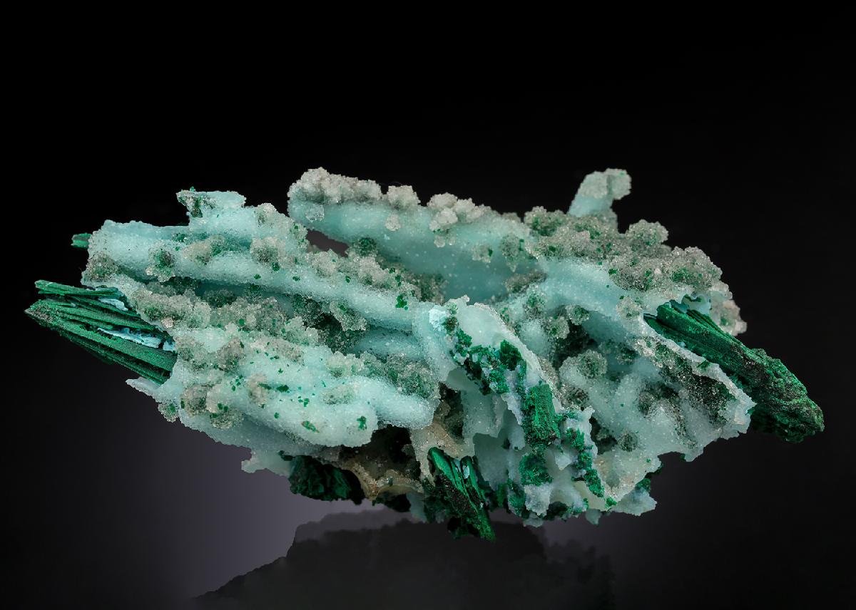CC20979 specimen image