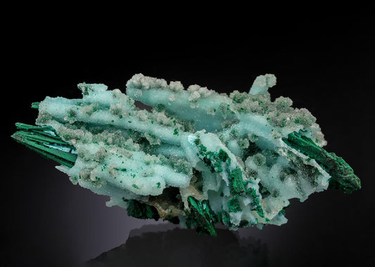 CC20979 specimen image
