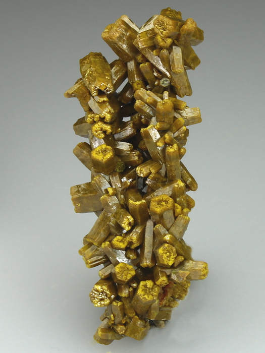 CC2098 specimen image