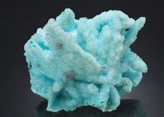 CC20998 specimen image