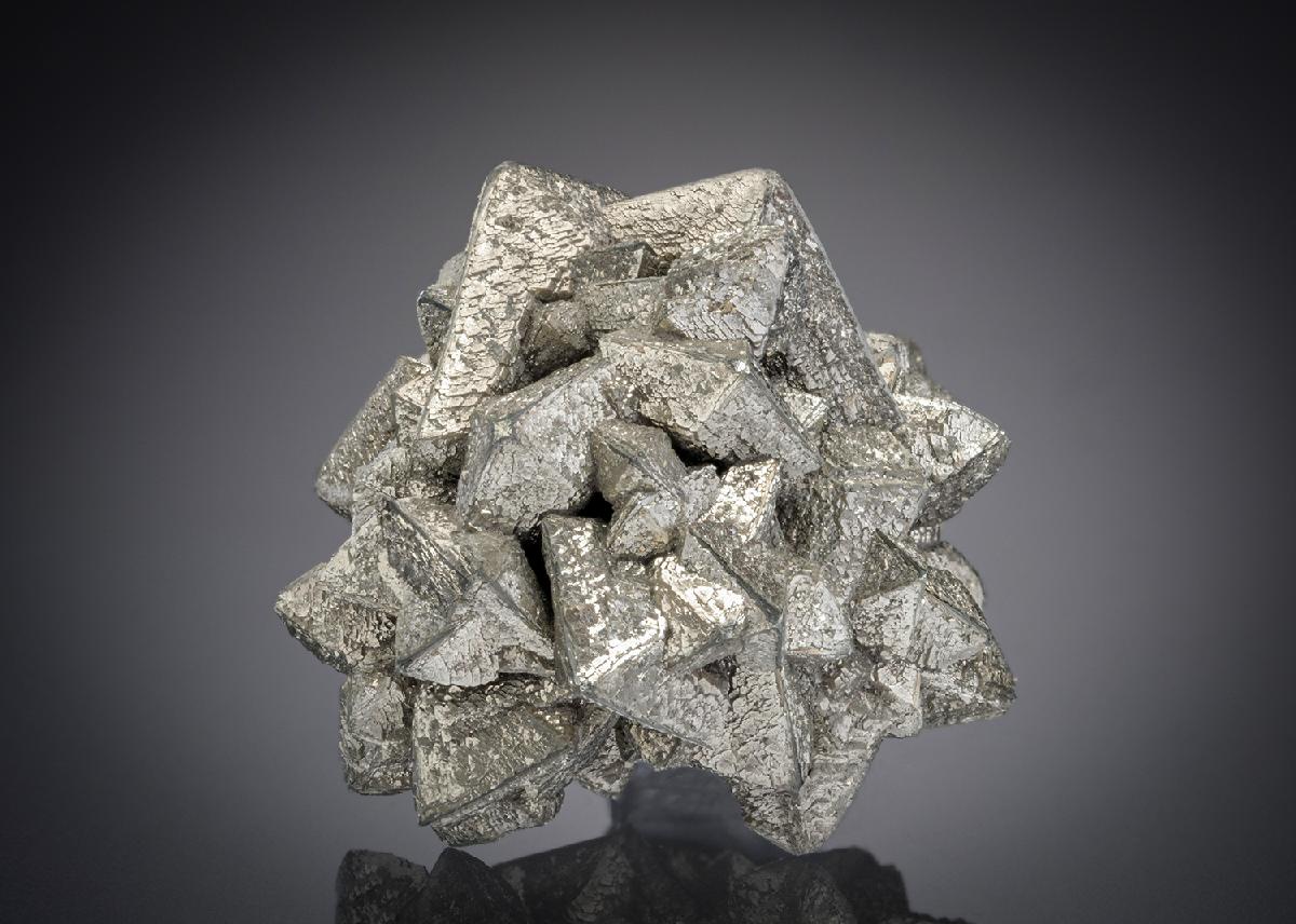 CC21004 specimen image