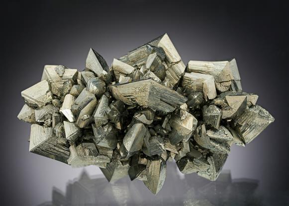 CC21005 specimen image
