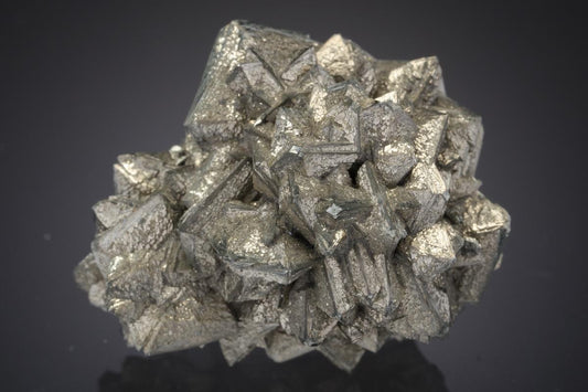 CC21008 specimen image