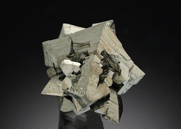 CC21009 specimen image