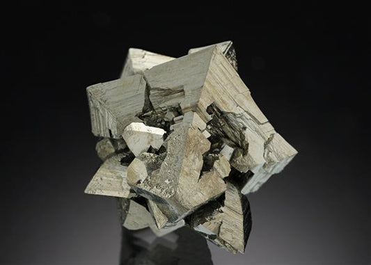 CC21009 specimen image