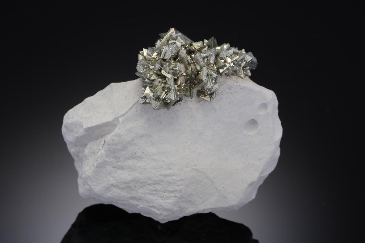 CC21012 specimen image