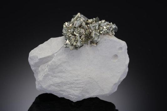CC21012 specimen image