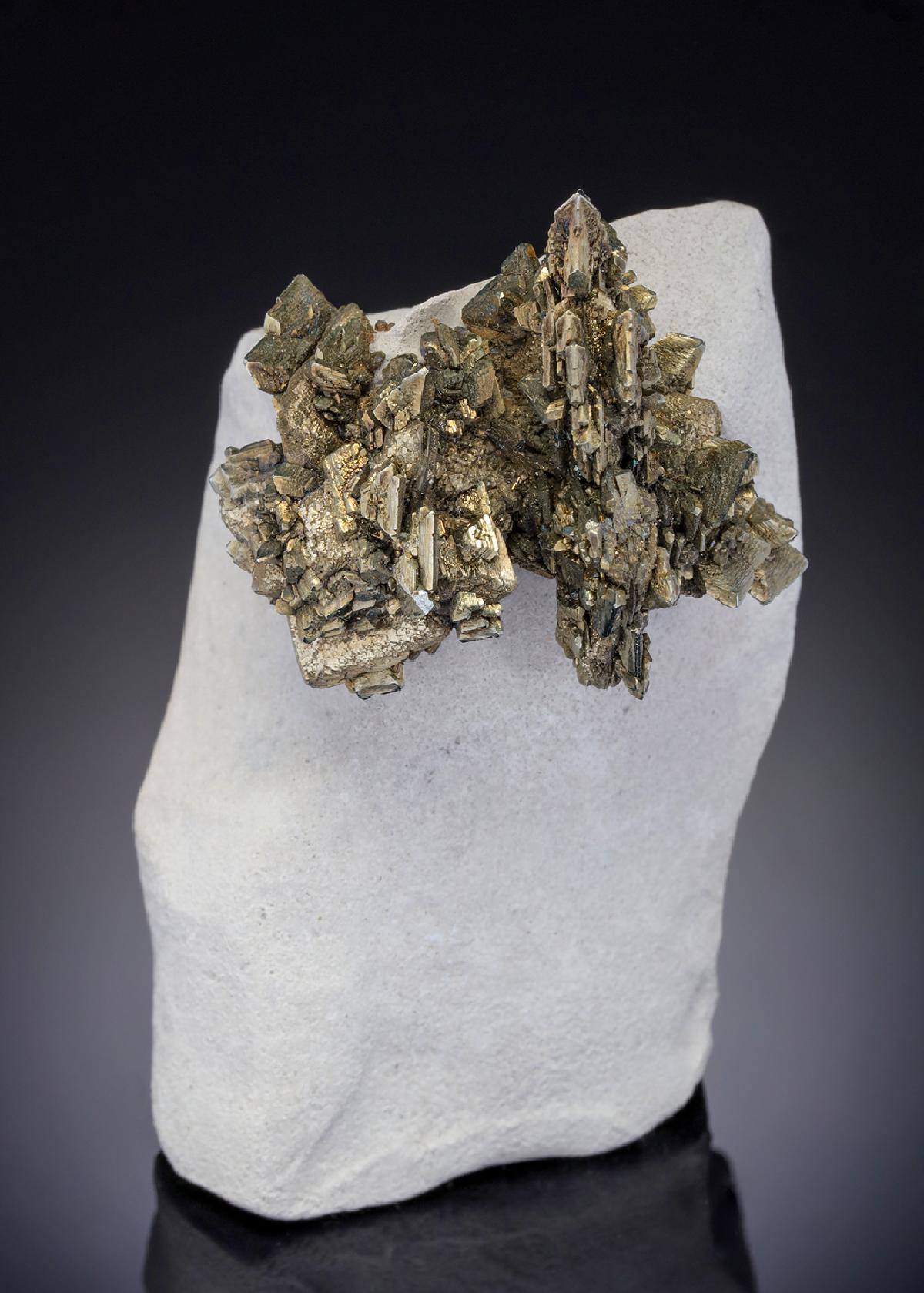 CC21013 specimen image