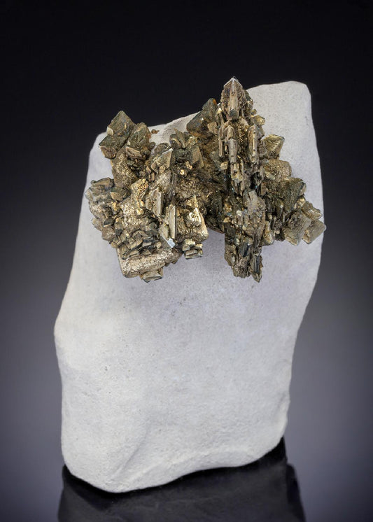 CC21013 specimen image