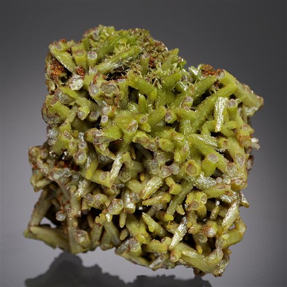 CC21018 specimen image