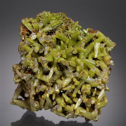 CC21018 specimen image
