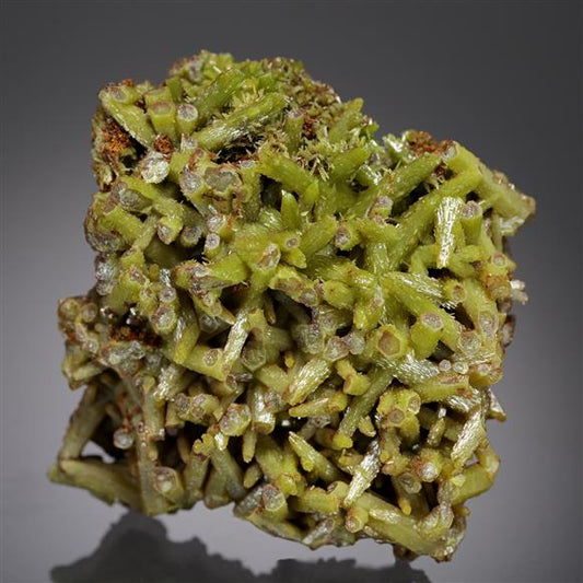 CC21018 specimen image