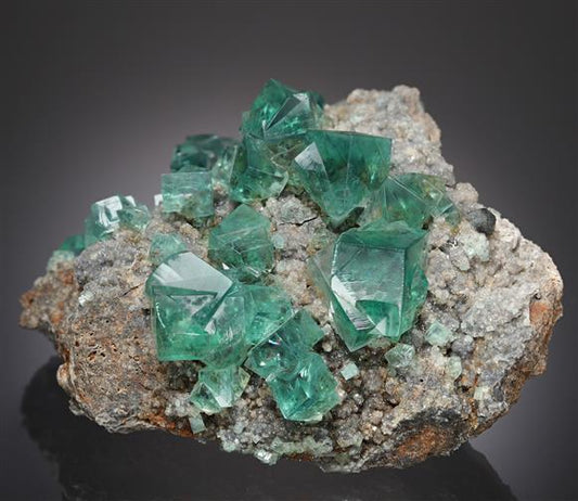 CC21020 specimen image