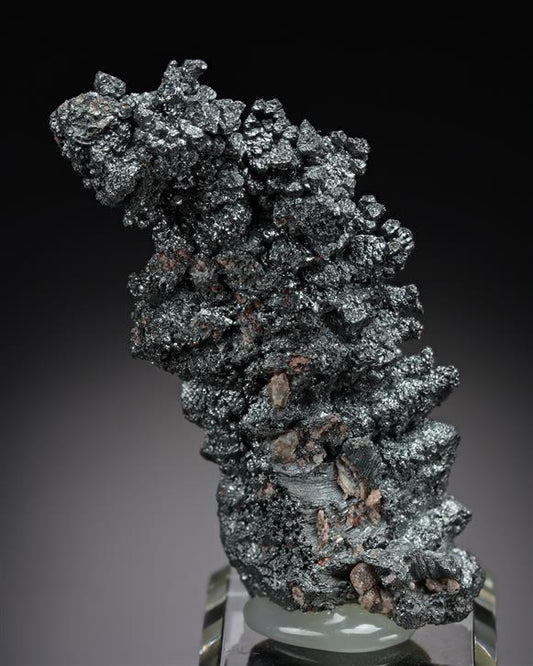 CC21027 specimen image