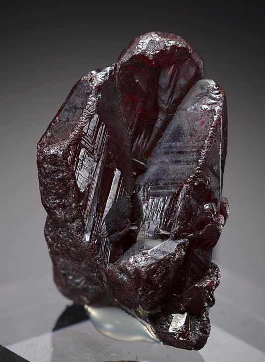 CC21029 specimen image