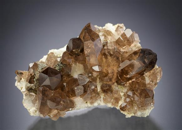 CC21032 specimen image