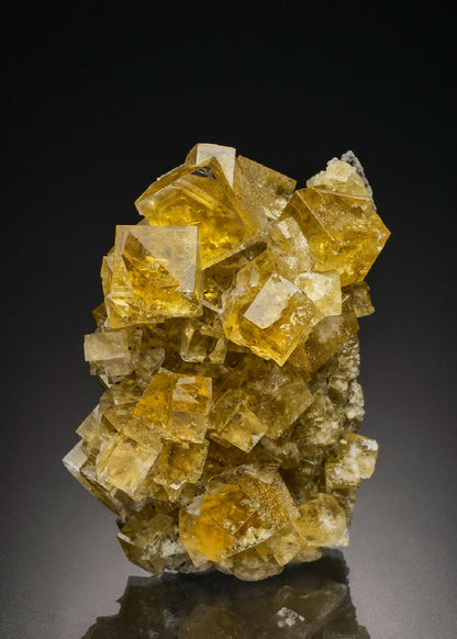 CC21033 specimen image
