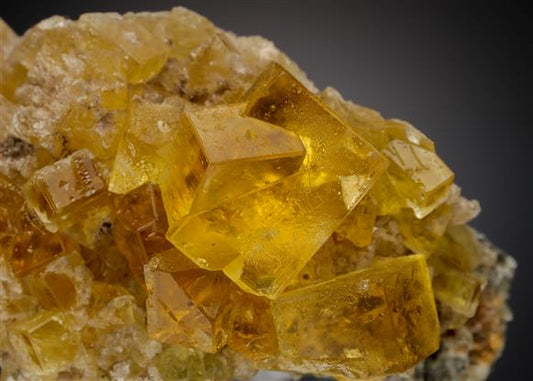 CC21034 specimen image