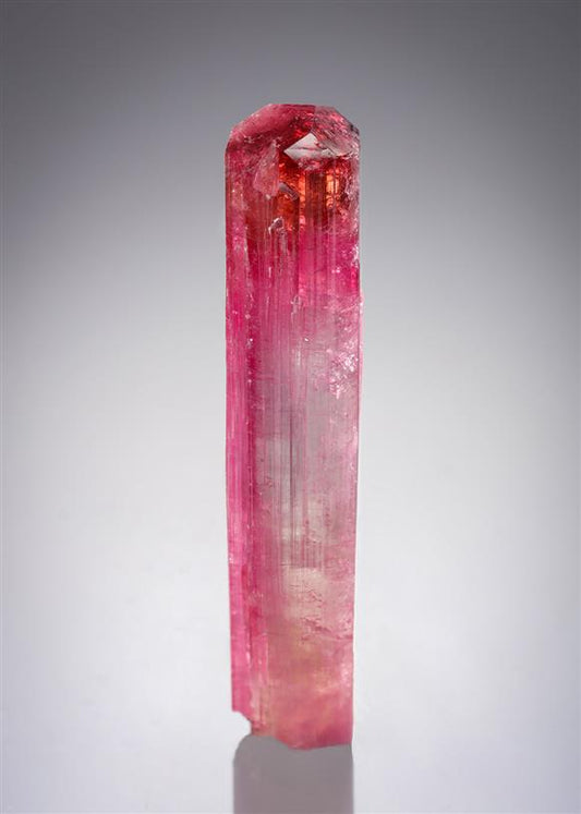 CC21042 specimen image