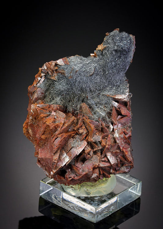 CC2106 specimen image