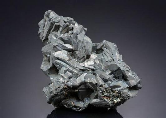 CC21079 specimen image