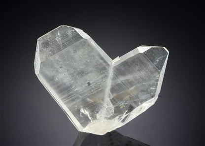 CC21080 specimen image