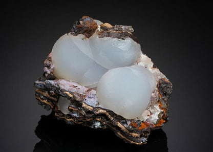 CC21083 specimen image