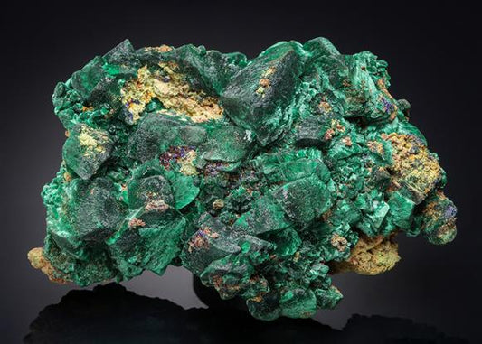 CC21094 specimen image