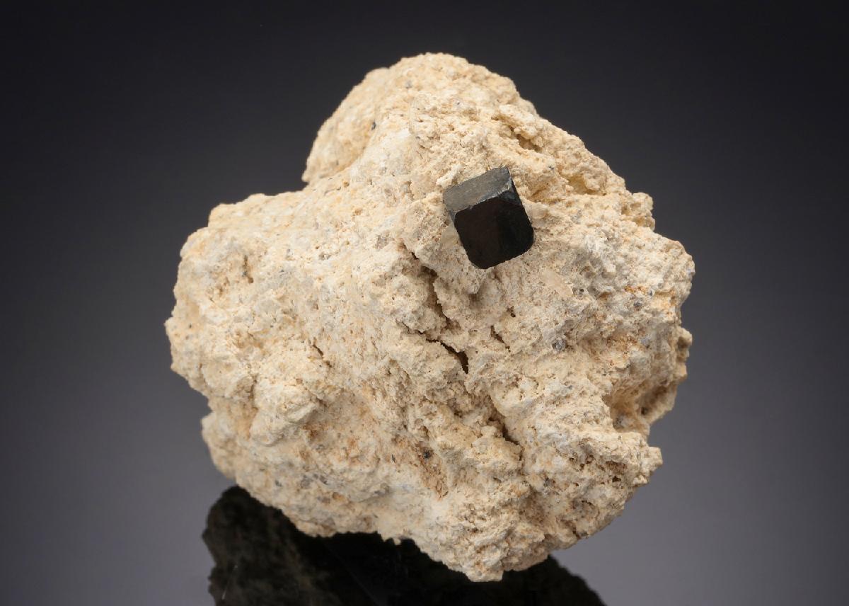 CC21097 specimen image