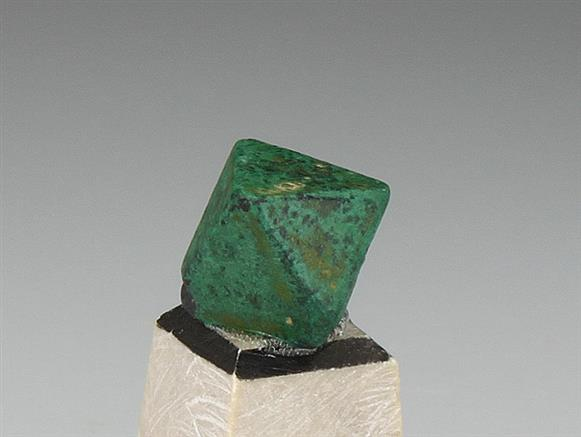 CC2112 specimen image
