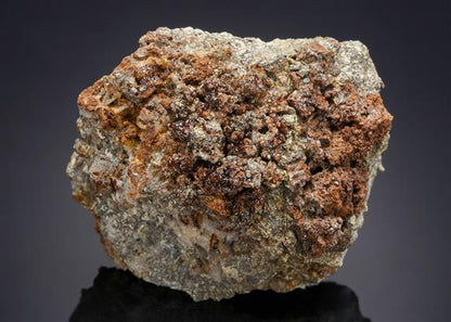 CC21123 specimen image