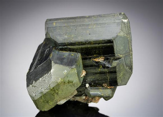 CC21124 specimen image