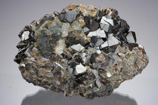CC21149 specimen image