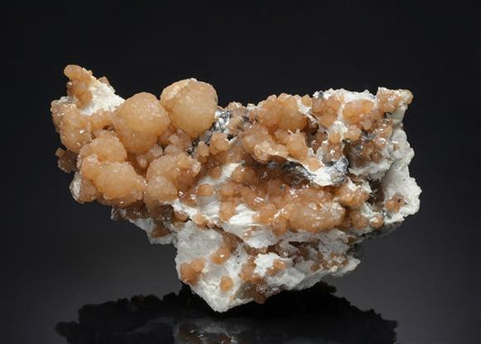 CC21151 specimen image