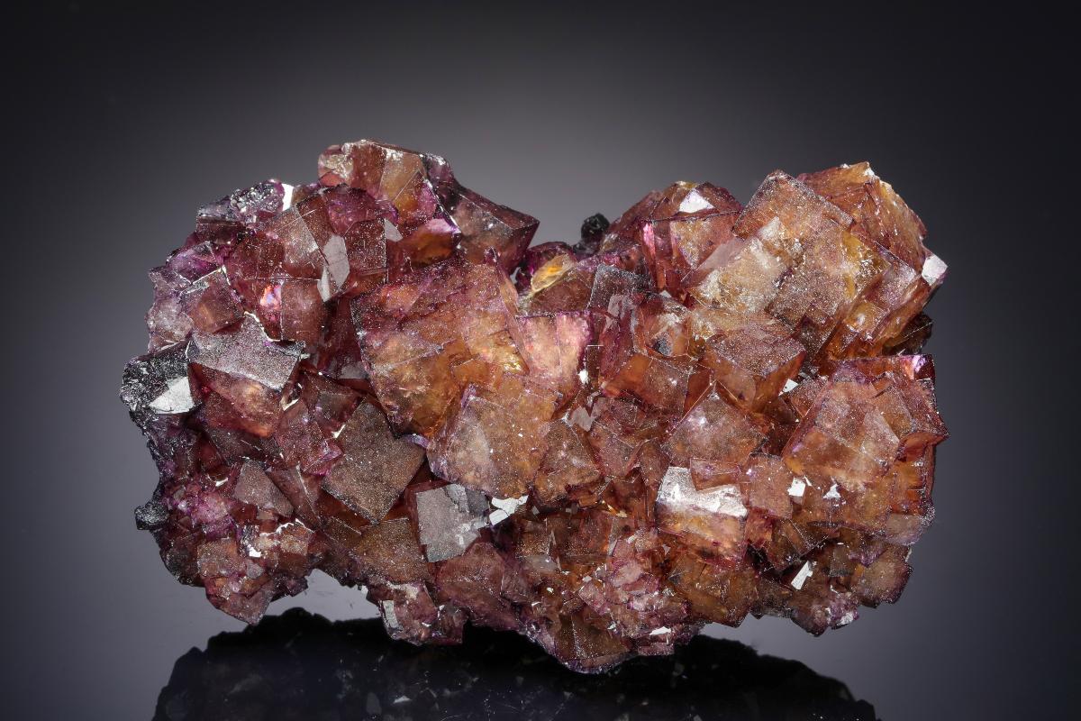 CC21160 specimen image