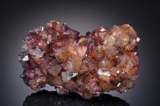 CC21160 specimen image