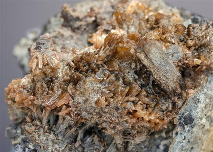 CC21165 specimen image