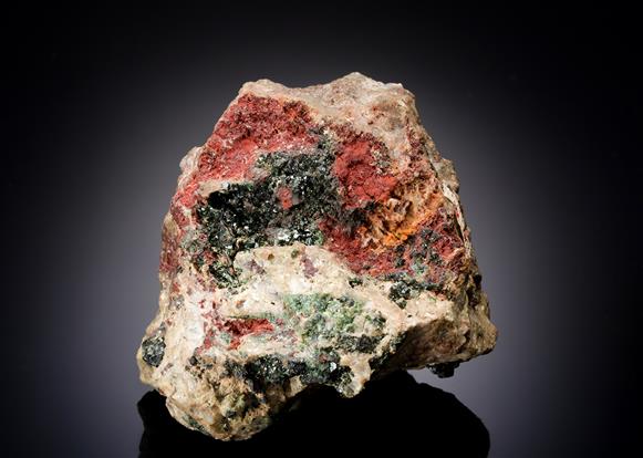 CC21167 specimen image