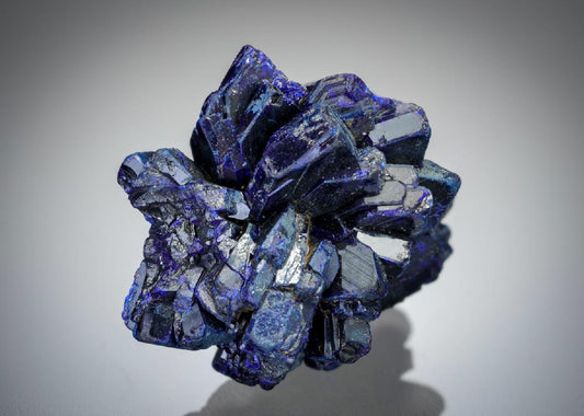 CC2117 specimen image